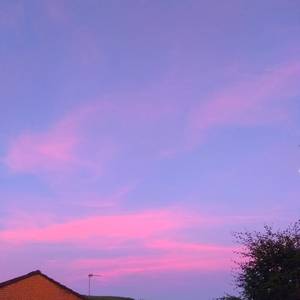 男人裸j照🔞无遮挡男
