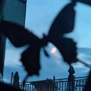 男人裸j照🔞无遮挡男
