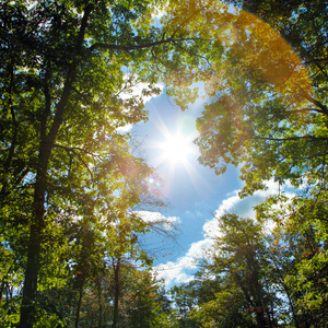 男人裸j照🔞无遮挡男
